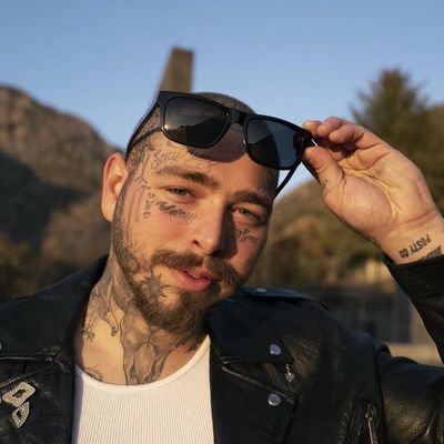 PMalone65760's profile picture. 