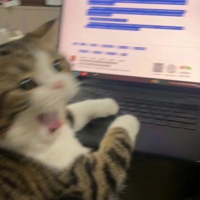 _boshabobie's profile picture. 