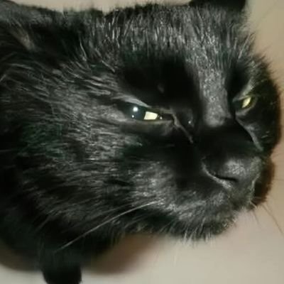 NegroGato_2's profile picture. Cesar Coelho🇧🇷🇧🇷🇧🇷🇧🇷

Ao entrar, Deus te abençoe.
 Ao sair, Deus te acompanhe! 😉
 🦅