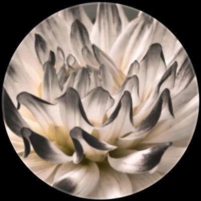 Dahlia_Witch_'s profile picture. .