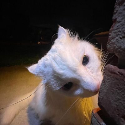 Jooooooeee6's profile picture. 