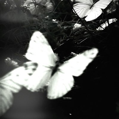 llo0jn's profile picture. 