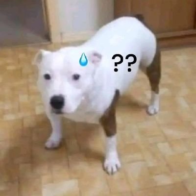 ElSujeto1029295's profile picture. 