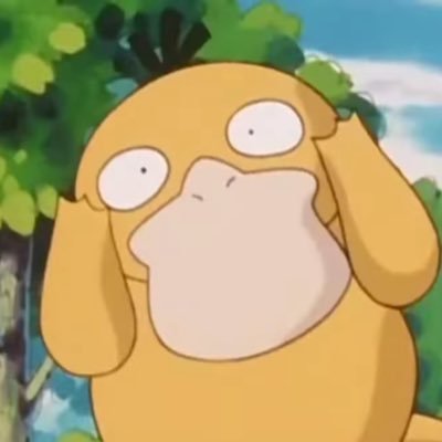 sunnysundayzZ's profile picture. crypto trader @misssundayz /just student of the world