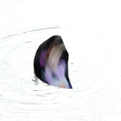 se_harihari's profile picture. 毎日