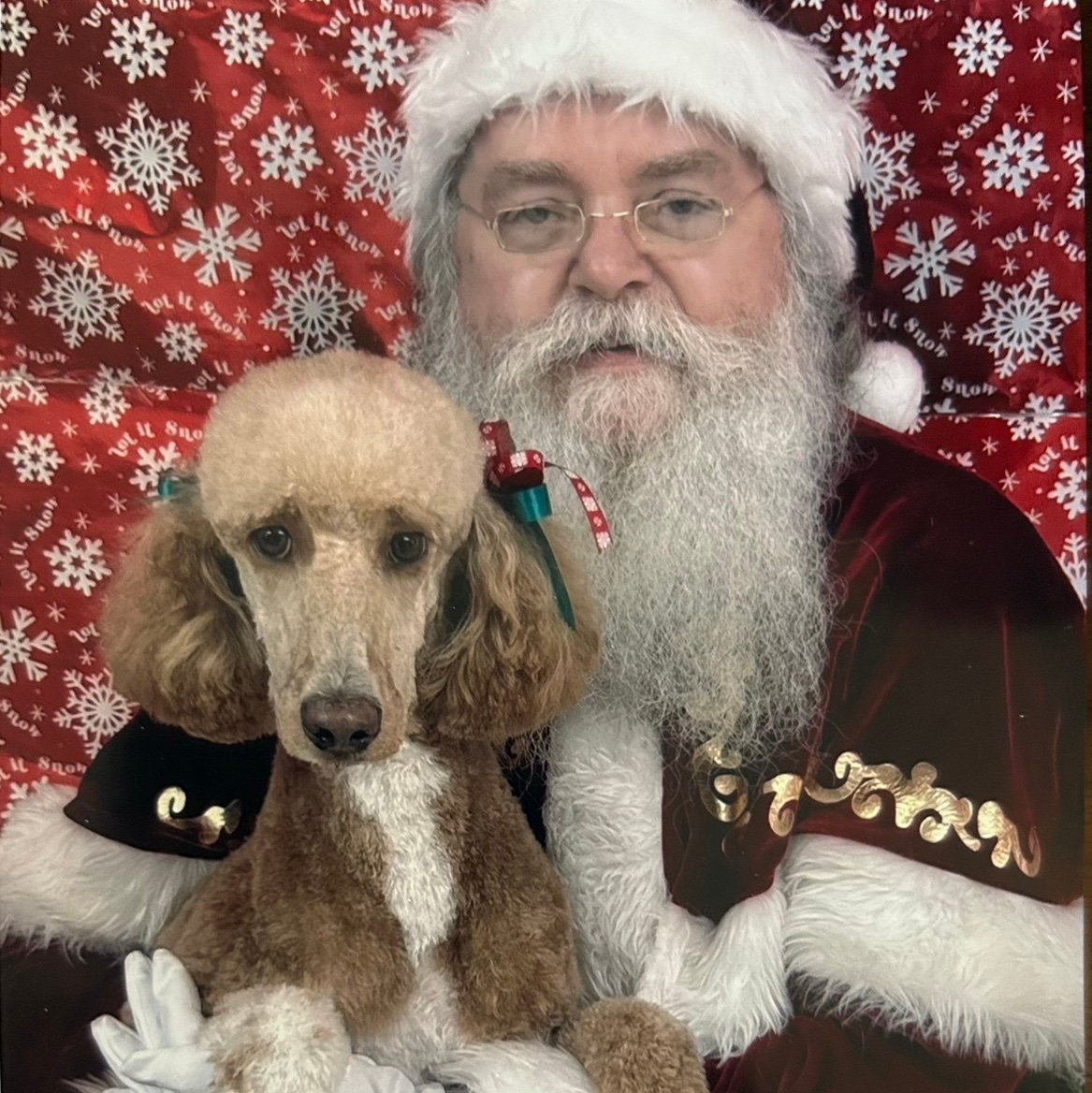 PessoaFan53's profile picture. 