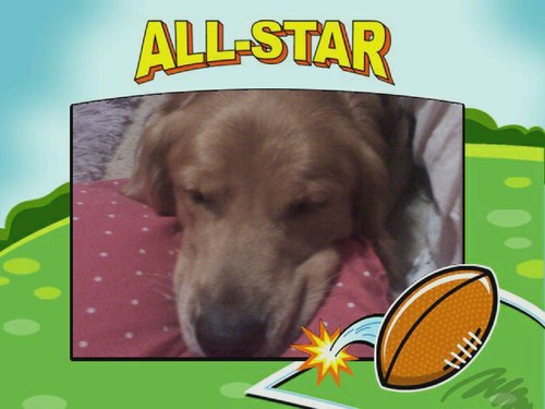 sassytown013's profile picture. 