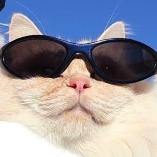 aerodynam1cs's profile picture. valo