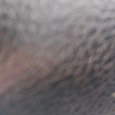 evsenemin's profile picture. asd