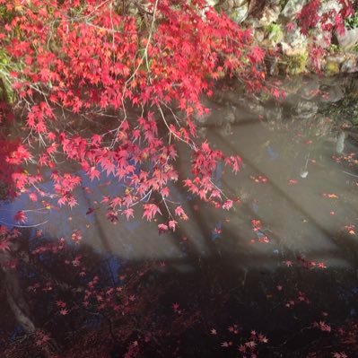 ied_co's profile picture. 【公開宣言】 副業ゼロの初心者が“月5万円”を目指して挑戦中。 作業記録、学び、気づきを毎日投稿します。 一緒に頑張る仲間がいたらフォローしてくれると嬉しいです！副業やってみたい方は下のURLから