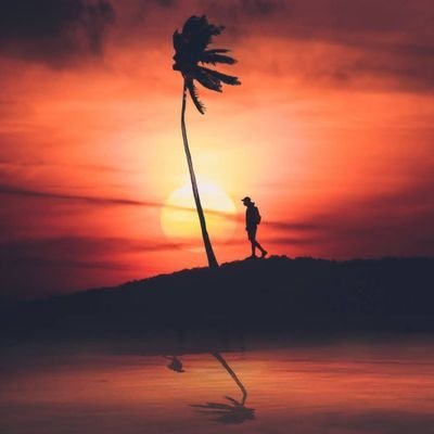 Walsh2WAGMI's profile picture. Crypto therapist needed 🛋️ | Memecoin bagholder | Web3 dream chaser