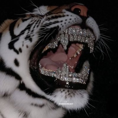 Nuel_Maobi's profile picture. •Pro Trader 📈📉 • My signals are free • Reclusive • i fb