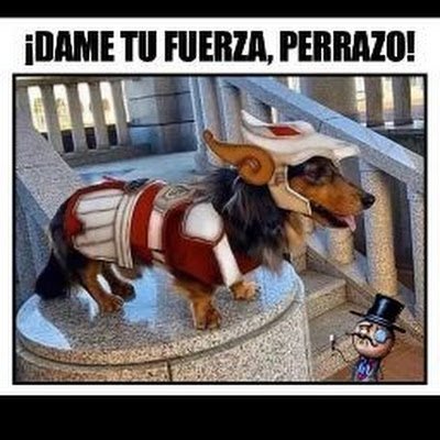 ManquilloK32102's profile picture. 