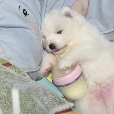 happyapplejelly's profile picture. -`♡´-𝑌𝑜𝑢 𝑎𝑟𝑒 𝑡ℎ𝑒 𝑠𝑢𝑛𝑟𝑖𝑠𝑒 𝐼’𝑙𝑙 𝑏𝑒 𝑦𝑜𝑢𝑟 𝑠𝑢𝑛𝑠𝑒𝑡 #EXO #NCT .◜◡◝ 므엉이