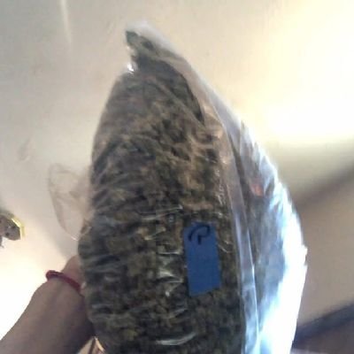 WHOIZGAMBINO's profile picture. AZ