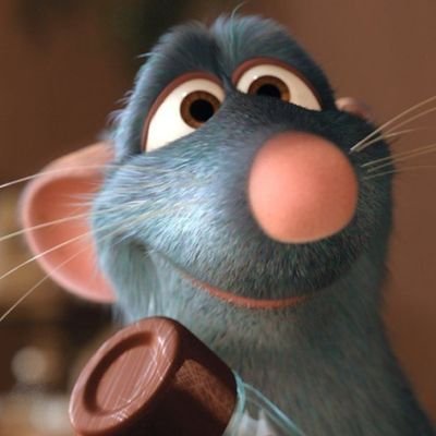 fsciorilli's profile picture. WISDOM definitely is more important than KNOWLEDGE. 🇧🇷