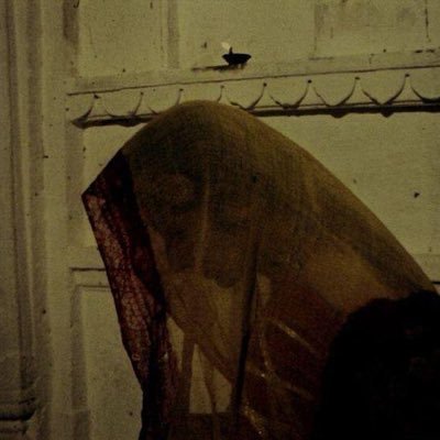 kuslarinkalbi's profile picture. uyanmanın bedeli serapları fedadır