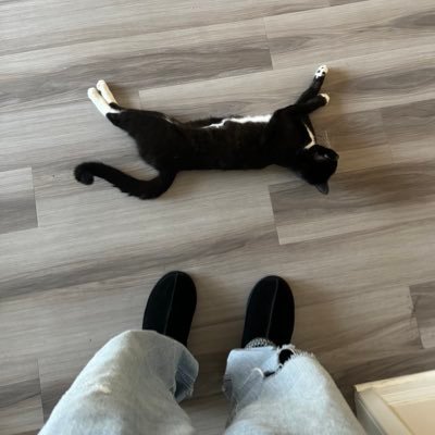 AyCuzii's profile picture. 