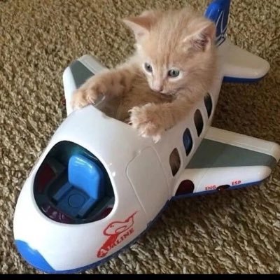 n7345678900's profile picture. 