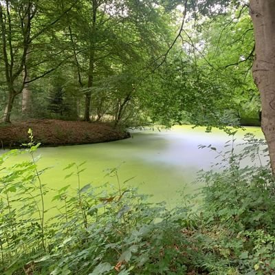 Anastazja_Liebe's profile picture. 