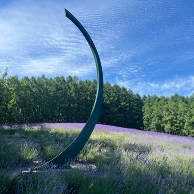 Liberal_arts_st's profile picture. 芸術家タイプはクリエイティブな仕事が向いている