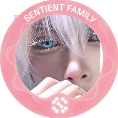 JilubhaSol13055's profile picture. 