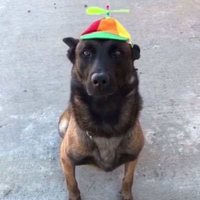 ghostpunisher19's profile picture. age 20 - I fb