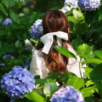 KavitaP36263066's profile picture. Gujarat, India