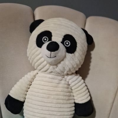 mafexiauwu's profile picture. coconut, Thatter (in process), directioner, simmer (sims 4), Just Dancer, me encantan los pandas

My virtual father @garybarlow 🥹❤️