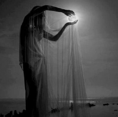 OracleOfTheRose's profile picture. • Oracle Of The Rose Lineage / Sophia  • 🫀🕊️