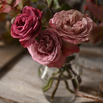 DcZyEtpnRmhl0lu's profile picture. 旅するポートレートを愛する写真愛好家・カメラマン・フォトグラファーそして旅人。自然、街歩き、里山歩き夜景。旅するポートレートをテーマに撮っています。 カフェ・ビスコッティ等写真展時々出展。ラブグラフ・アカデミー受講中