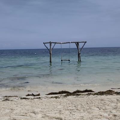 stannoone124's profile picture. Empty