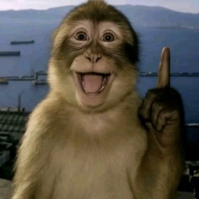 fankyoubroo's profile picture. 