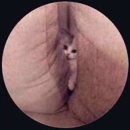 018thank's profile picture. 話はやい人すき