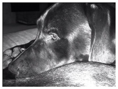 aimee_twist's profile picture. 