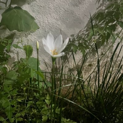 Dhani001987's profile picture. 