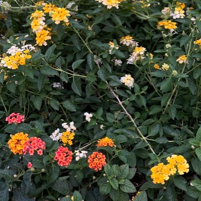 kw4nvery's profile picture. เฮียนอไงหนูไม่คุ้นหูเลยหรอ