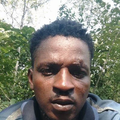 sakkattus50695's profile picture. 