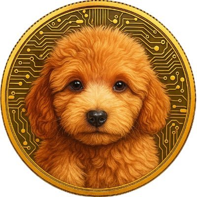 Wht646035216273's profile picture. 