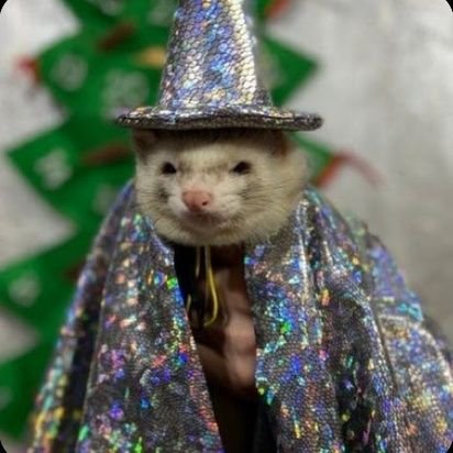 herm_777's profile picture. national socialist.