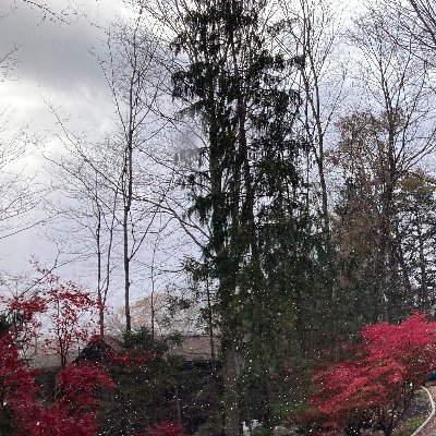 DamienFagan23's profile picture. 