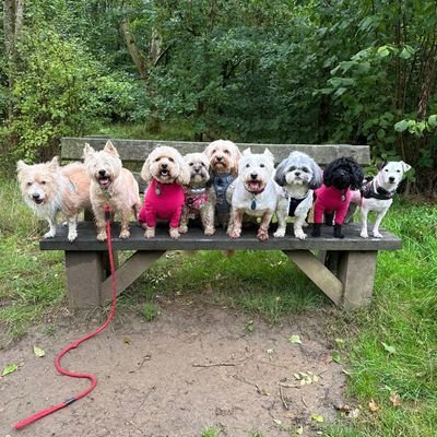 LyndaH68's profile picture. Was a Conservative, now politically homeless. Brexiteer, all tweets are my own thoughts, and not always very PC. Love animals, hate those who abuse them.