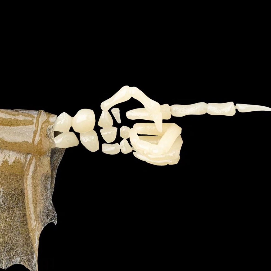 sflconn's profile picture. NEW ACC  🍃 INDULGER