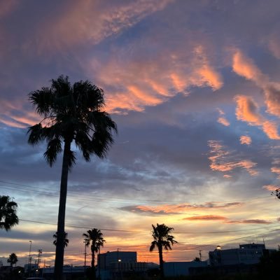 mochimochi_kabo's profile picture. 20↑ 雑食 ﾁｭｳｻに灼かれて生み出されたアカウント 🟥🟩/🟧🟩/🟩🟩　などを摂取