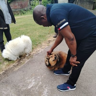 KelechiUche10's profile picture. Mixed topics | Breaking news • Gist • Real talk
Opinions with sense.
If it’s trending, I’m tweeting it.
DM for collaboration.