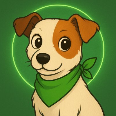 CryptoTifi's profile picture. 