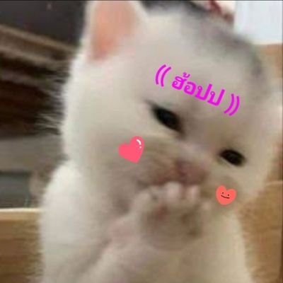 CLisa_BeckyF's profile picture. 🇹🇭 #Chaelisa #Jensoo 🖤🩷 BP   #FreenBecky #เบคฟรีน #IceMemi #Bmine #GLthai ตามส่องคู่รักอยู่แสนแปดเรือGL🤣 #สลิ่มเมะGL #MayuIShikawa 🏐🫶