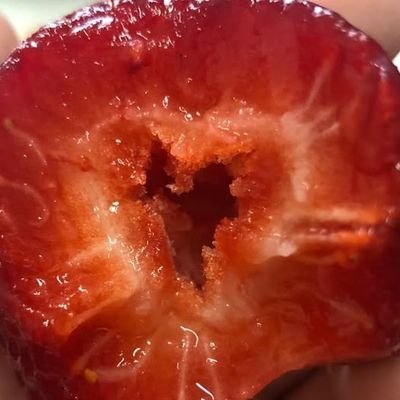 fieryblooms's profile picture. s/her ⭑ rpf 훈선 ⭑ comms ongoing 
🔖@eclipsememoirs