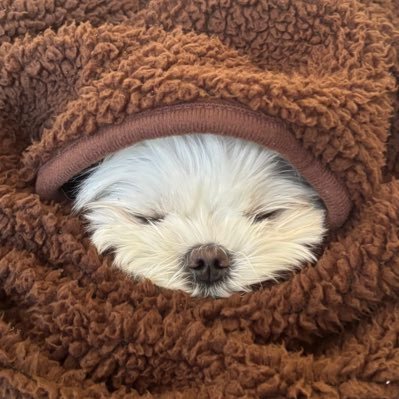 i_217_u's profile picture. but u cereal me, and i cereal u