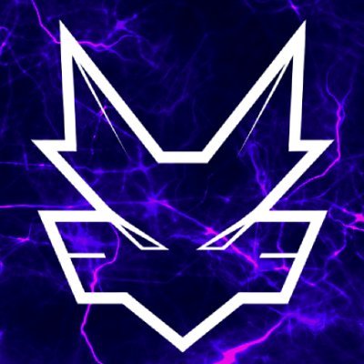 xel_artz's profile picture. I draw 90s anime style furries and take pictures of tornadoes
🔞 Caution: NSFW 🔞